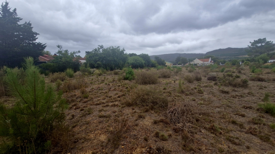 0 Bedroom Property for Sale in Bot River Avenues Western Cape